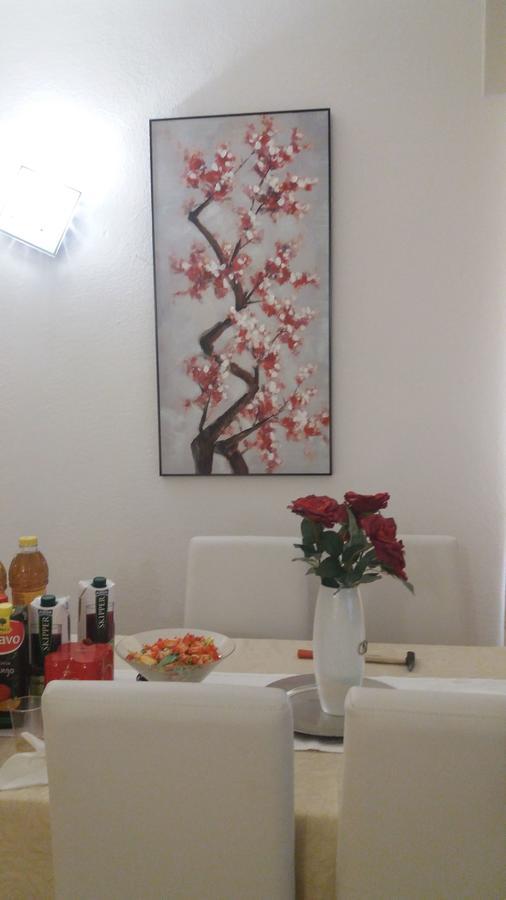 Appartamento Casa Ilaria 阿尔扎凯纳 外观 照片